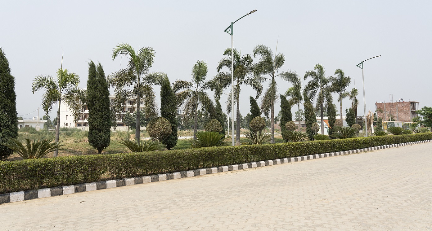 WIDE ROAD WITH GREEN FENCING
